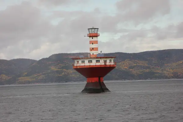 Croisières AML Tadoussac, photo 3