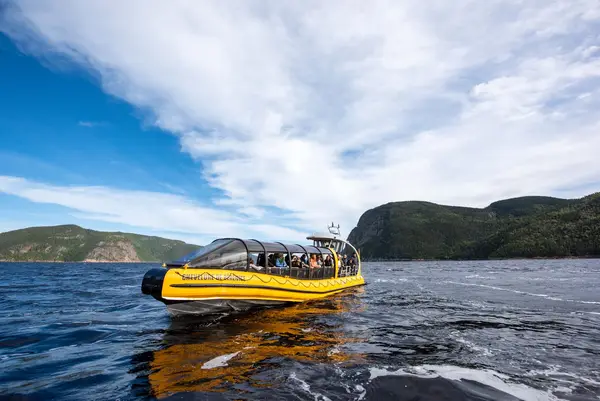 Croisières Fjord & Baleines
