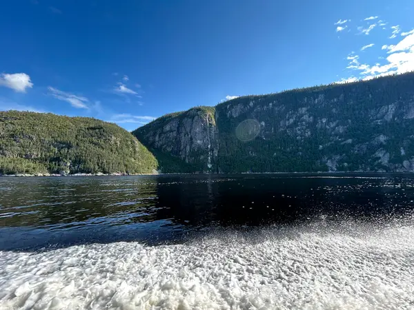 Croisières Fjord & Baleines, photo 2