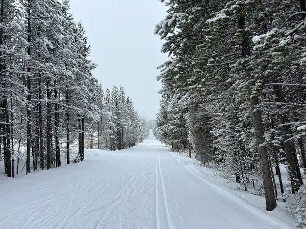 Cross Country Skiing