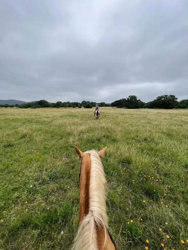 Cross G Ranch Trail Rides, photo 2