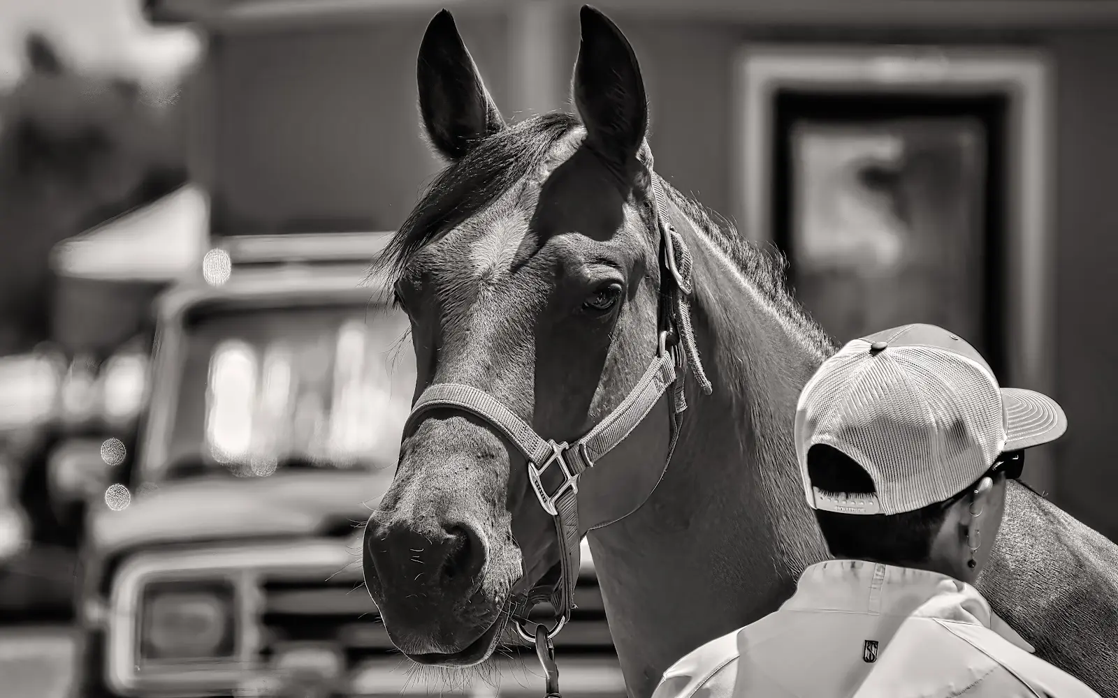 Cross Roads Stable
