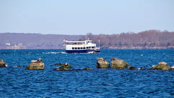 CruiseRI - Seal Tours