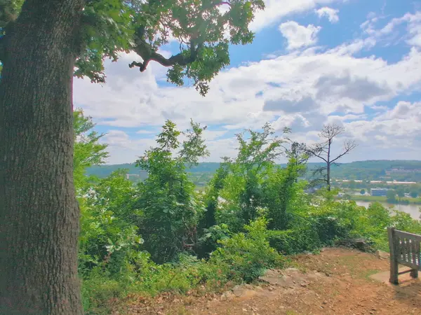 Crystal Bluff Climbing Area in Big Rock Quarry