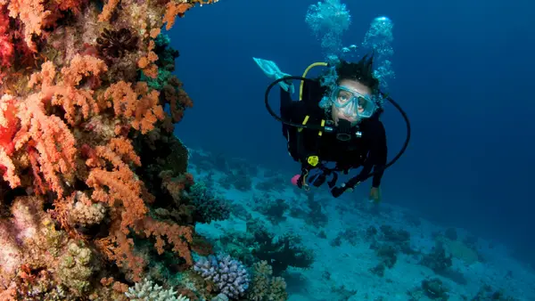 Crystal Divers Mauritius