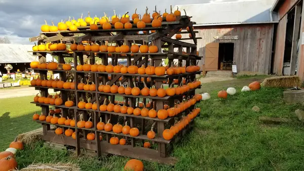 Cuff Farms, Hortonville, WI