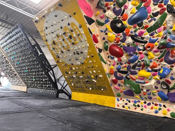 Cultivate Climbing - The Bunker
