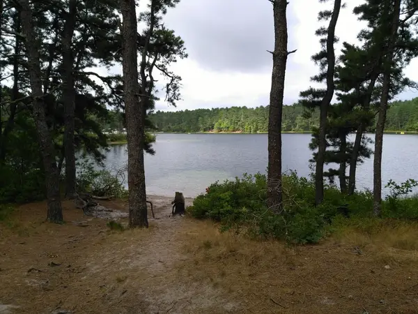 Curlew Pond campground