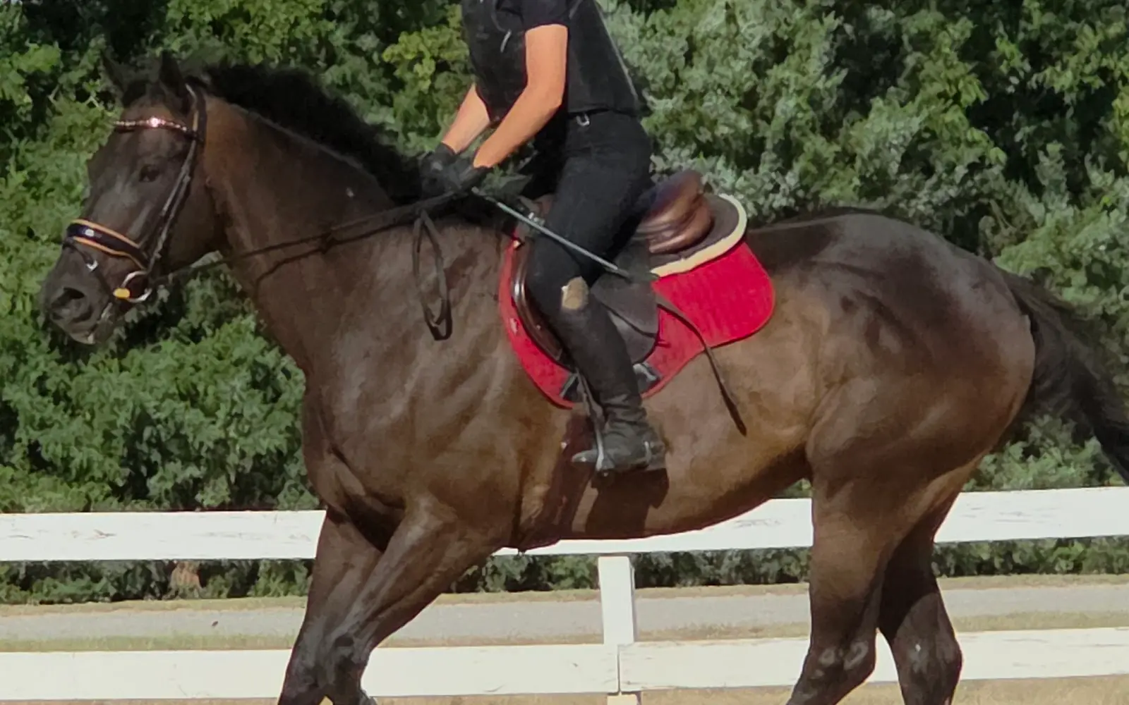 Curragh Equestrian Center