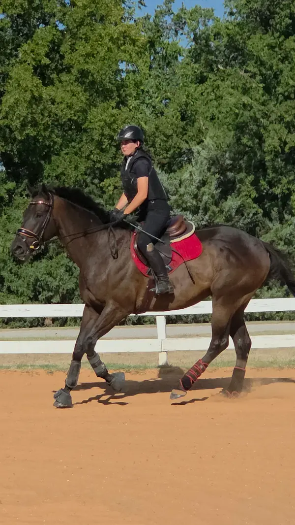 Curragh Equestrian Center