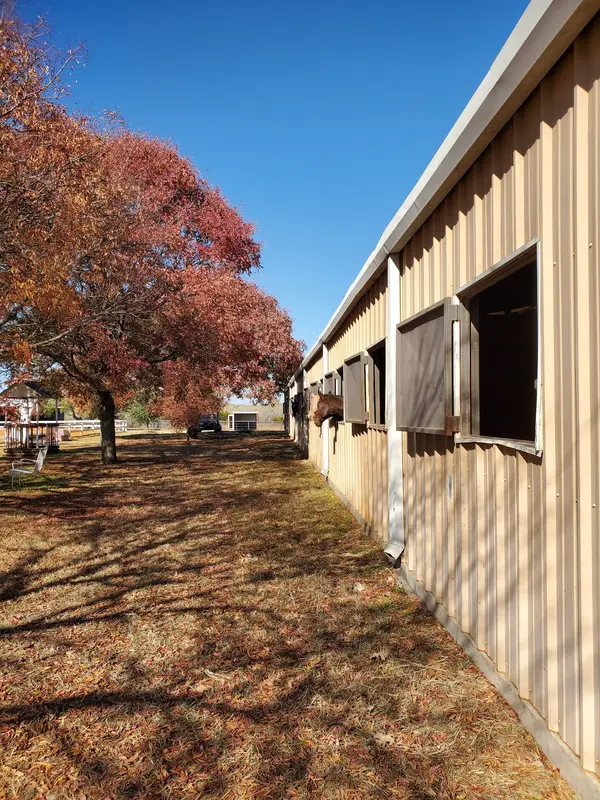 Curragh Equestrian Center, photo 3