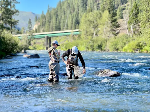 Current Fly Fishing, US, NV