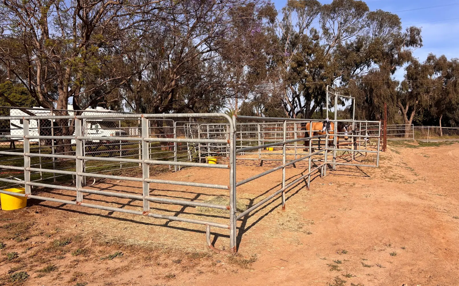 D and J Stables