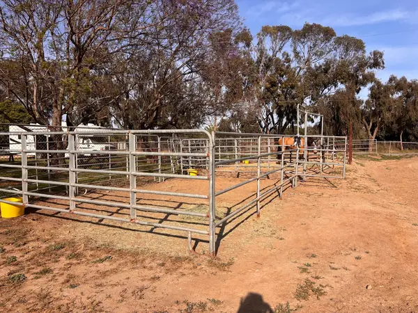 D and J Stables, photo 4