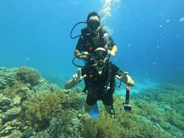 Dahab Divers Lodge - Padi 5* dive centre Dahab