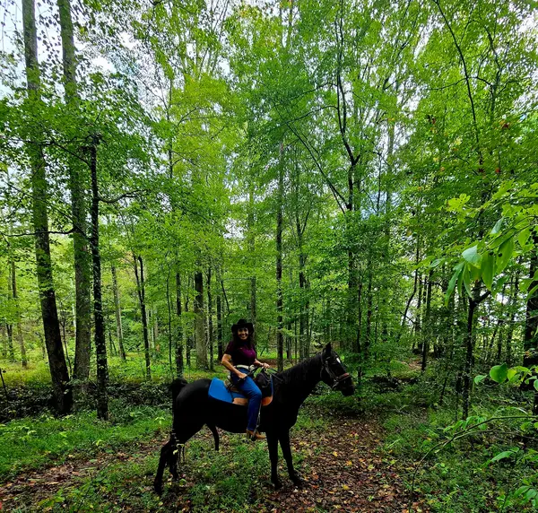 Dahlonega Carriage & Horse Rides