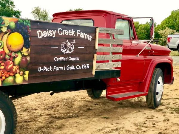 Daisy Creek Farms, Galt, CA