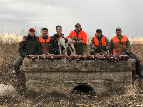 Dakota Pheasant Guide