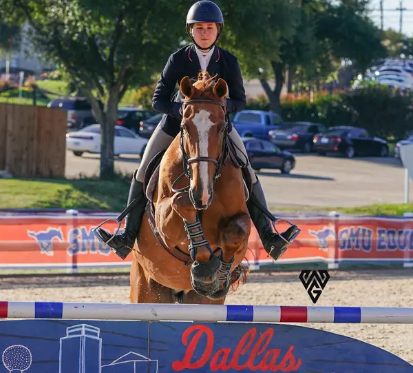 Dallas Equestrian Center, photo 1