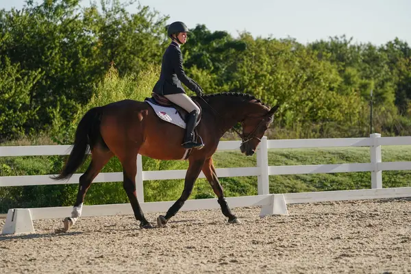 Dallas Equestrian Center, photo 2