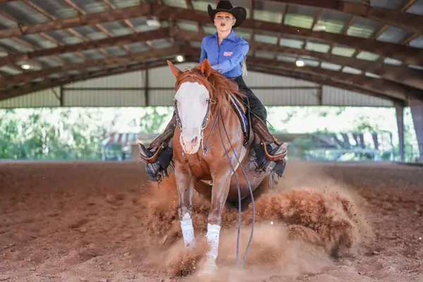 Dallas Equestrian Center, photo 3