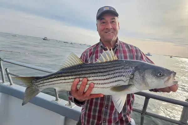 Dark Horse Fishing Charters