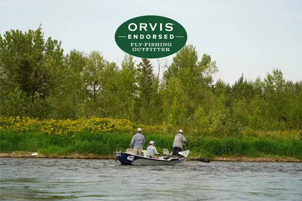 Dave Brown Outfitters
