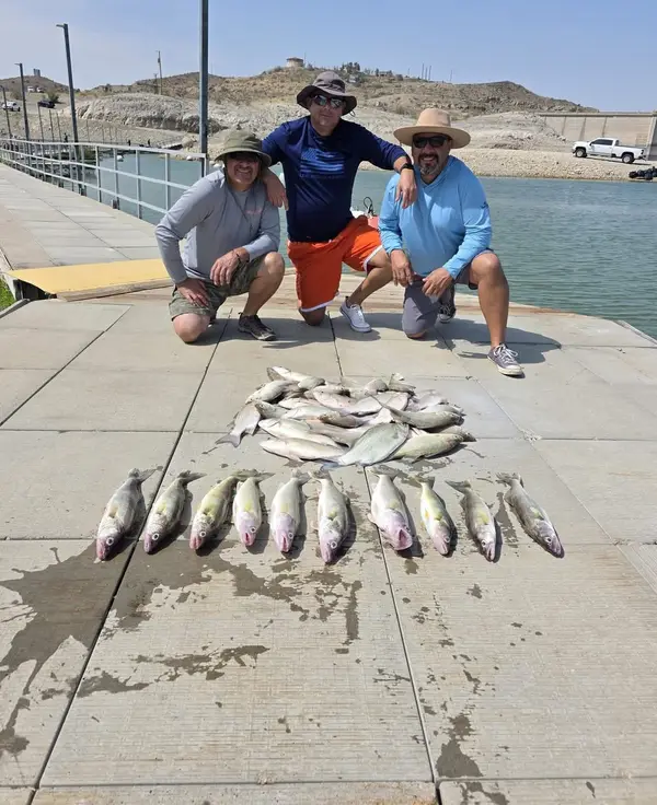 Dave's fishing guide services Elephant butte lake, Elephant Butte, NM