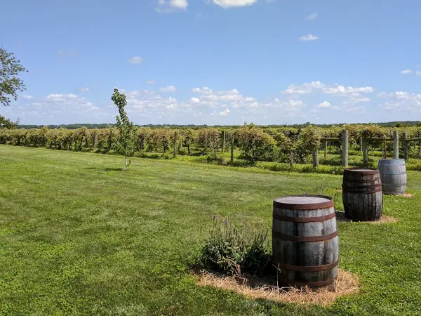 Davenport Orchards & Winery, Eudora, KS