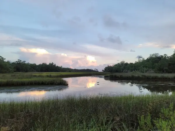 Davis Bayou Campground