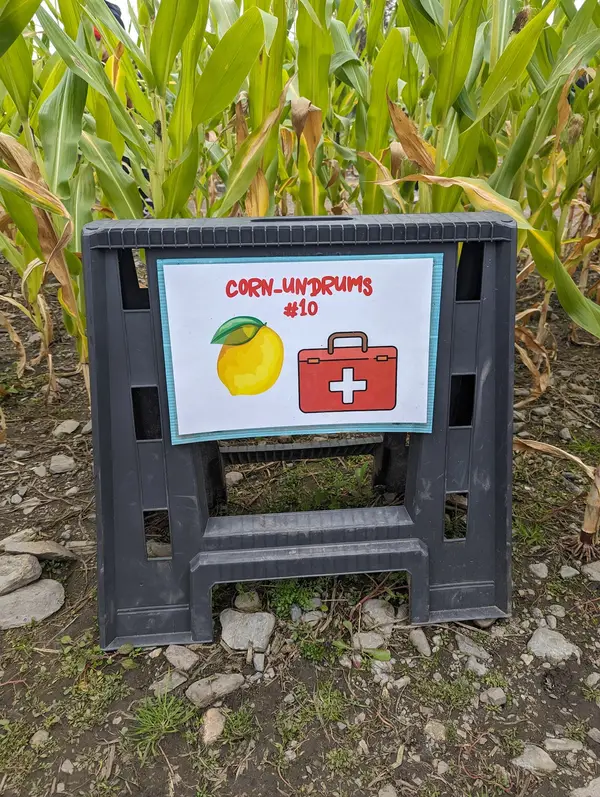 Davis Mega Maze, Sterling, MA