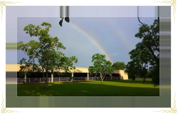 Dawson Equestrian Center