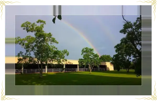 Dawson Equestrian Center