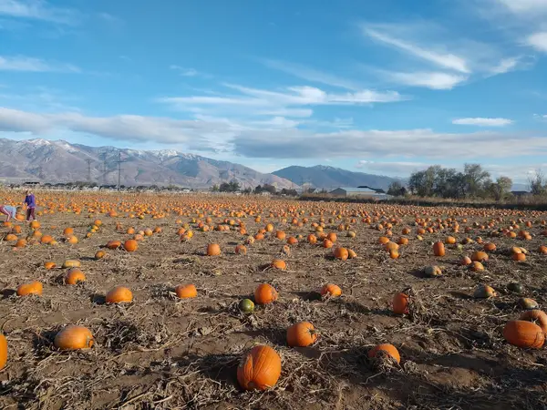 Day Farms, Layton, UT