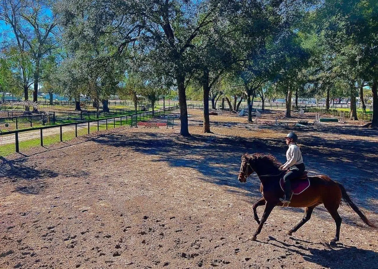 DeBoer Equestrian