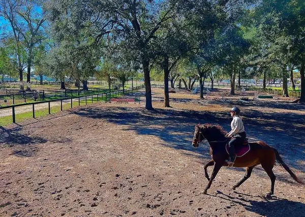 DeBoer Equestrian