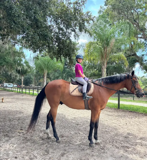 DeBoer Equestrian, photo 1