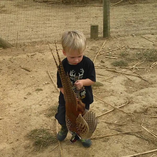 Decker And Sons Upland Bird Farms