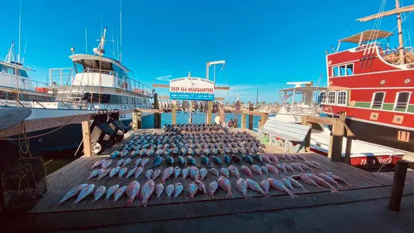 Deep Sea Headquarters, Port Aransas, TX