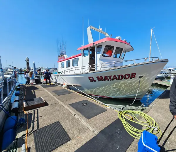 Deep Sea Sportfishing, Westport, WA
