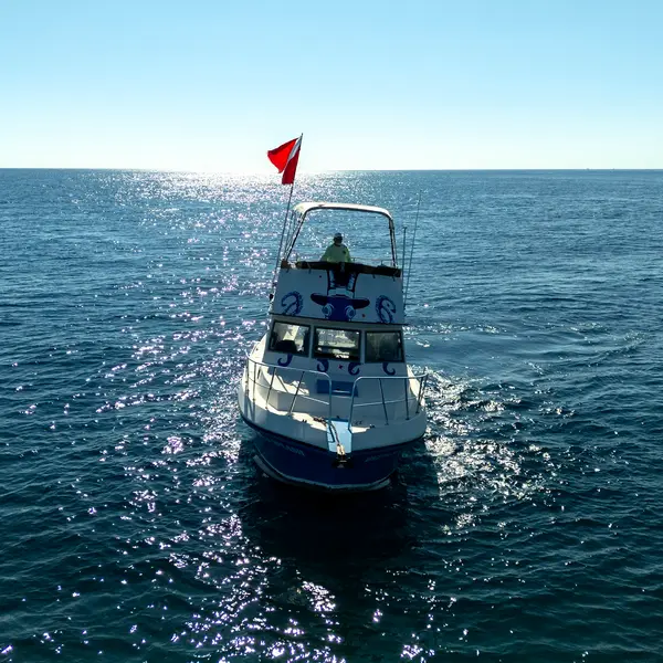 Delta's Splash Dive Charter