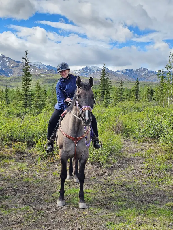 Denali Horseback Tours