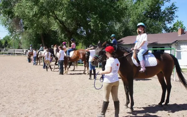 Denver Equestrians Riding School