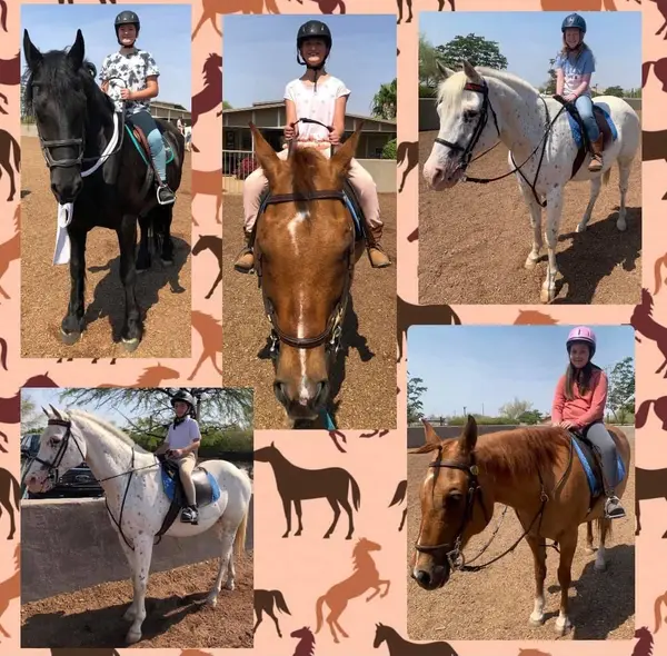 Desert Palms Equestrian Center