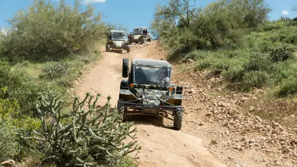 Desert Wolf Tours