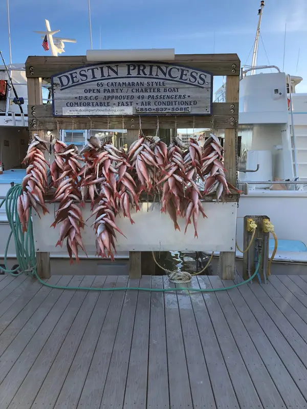 Destin Princess & Destiny Party Boat Fishing, Destin, FL