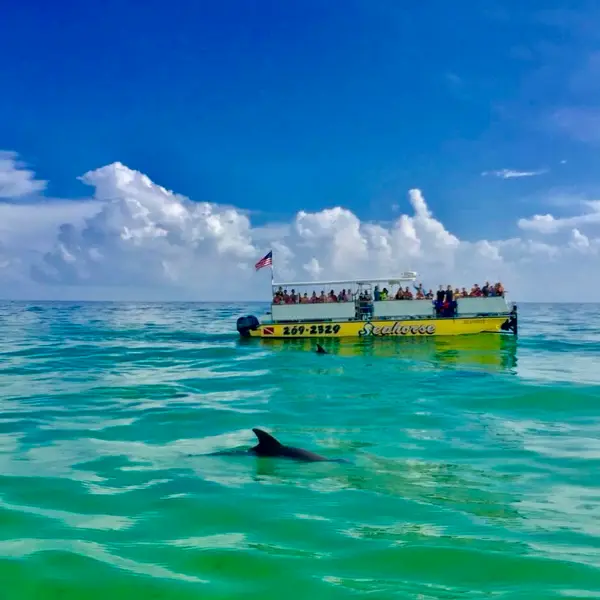 Destin Snorkel