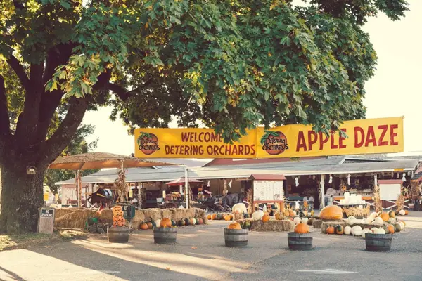 Detering Orchards, Harrisburg, OR