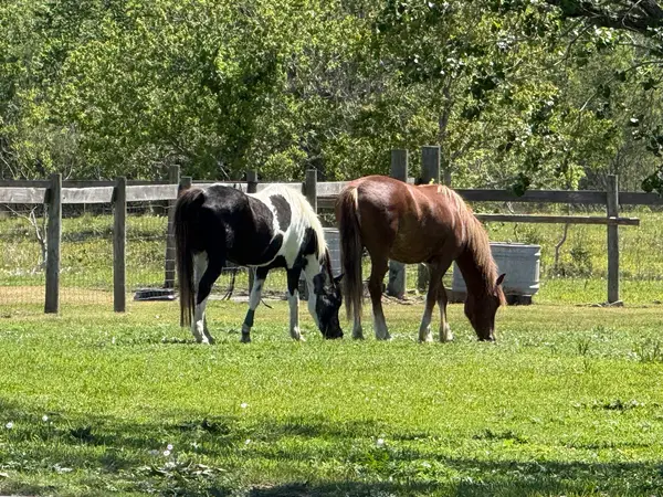 Diamond B Ranch, photo 3