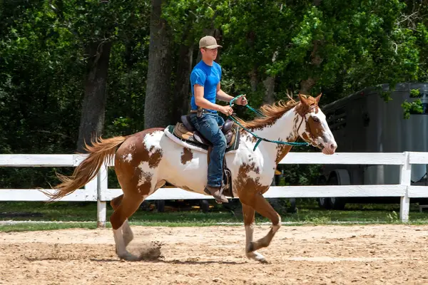 Dickinson Bayou Ranch, photo 2